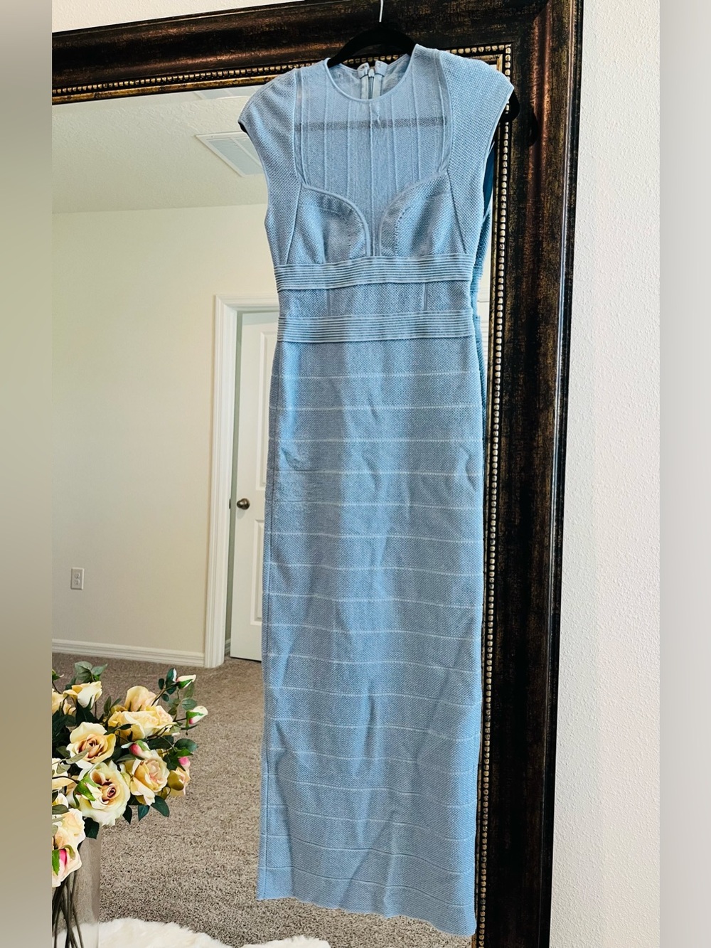 Herve Leger Sheer Bustier Gown